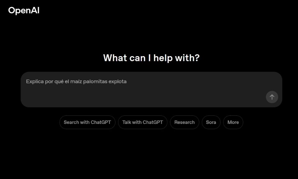 ChatGPT (by OpenAI)